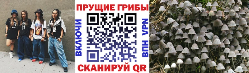 Галлюциногенные грибы Magic Shrooms  Воткинск 